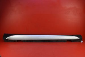 BMW X1 E84 Front sill (body part) 