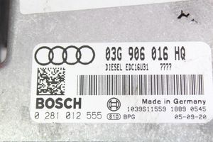 Audi A6 Allroad C5 Centralina/modulo motore ECU 03G906016HQ