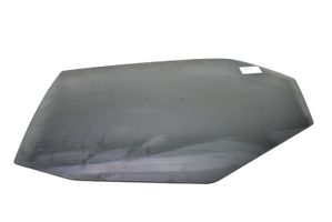 Dodge Magnum Rear door window glass 