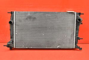 Renault Megane III Radiateur de refroidissement 214100016R