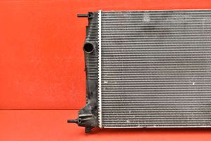 Renault Megane III Radiateur de refroidissement 214100016R