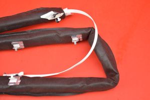 Renault Megane III Airbag de toit 620667900