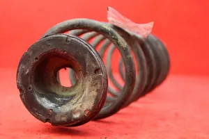 Volkswagen Fox Rear coil spring VOLKSWAGEN