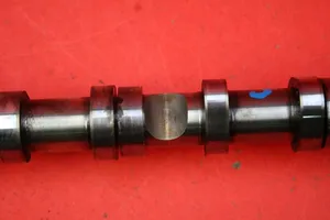 Volkswagen Touareg I Camshaft 059101EF