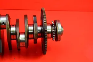 Volkswagen PASSAT B6 Crankshaft 071105189D