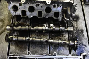 Volkswagen Touareg I Culasse moteur 1059354DK