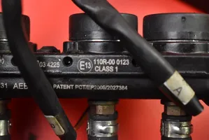 Ford Explorer LP gas equipment set 67R-016019