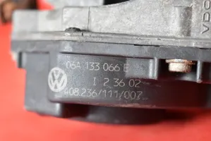 Volkswagen Bora Throttle body valve 06A133066E