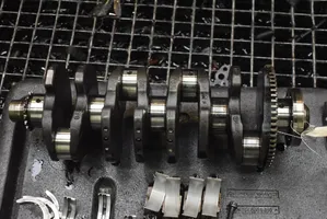 Audi A4 S4 B7 8E 8H Crankshaft BKE