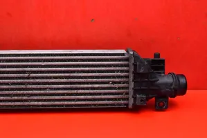 Opel Mokka Chłodnica powietrza doładowującego / Intercooler 95026333