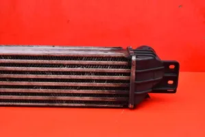 Chevrolet Captiva Chłodnica powietrza doładowującego / Intercooler 96629070