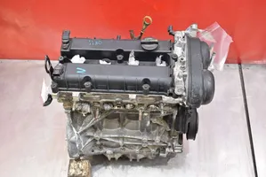 Ford Focus Engine PNDA