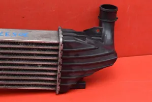 AC 428 Radiatore intercooler 13128926