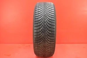 Volkswagen Golf V R17 C winter tire VW