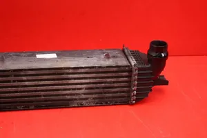 Renault Laguna III Chłodnica powietrza doładowującego / Intercooler RENAULT