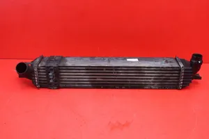 Renault Laguna III Chłodnica powietrza doładowującego / Intercooler RENAULT