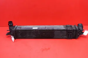 Renault Laguna III Chłodnica powietrza doładowującego / Intercooler RENAULT