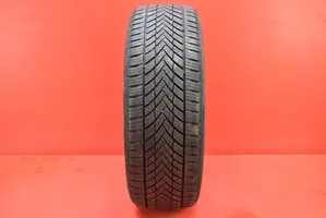 Alpine C2 R17 C winter tire CITROEN