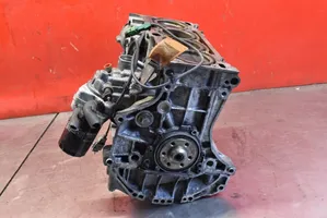 Volkswagen PASSAT B5.5 Blocco motore 06B103019