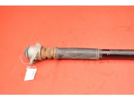 AC 428 Rear shock absorber/damper 2000744