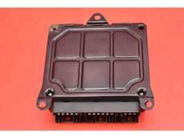 Land Rover Freelander Unité de commande, module ECU de moteur SRD100480