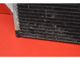 BMW 5 E39 Air conditioning (A/C) radiator (interior) 8378438