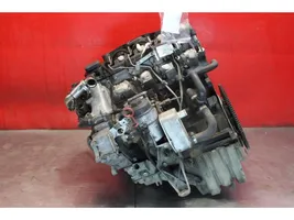 BMW 3 E36 Moteur M47D20