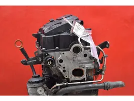 Volkswagen Golf V Engine BLS