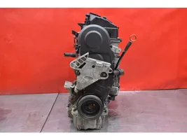 Volkswagen Golf V Engine BLS