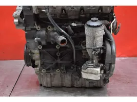 Volkswagen Golf V Engine BLS