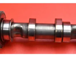 Volkswagen PASSAT B6 Camshaft 03L101