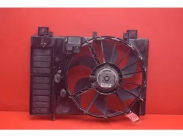 Citroen C5 Ventilateur de refroidissement de radiateur électrique 3000257