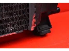 Renault Megane II Coolant radiator 8200117609