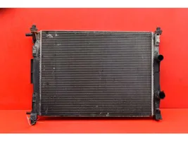 Renault Megane II Coolant radiator 8200117609