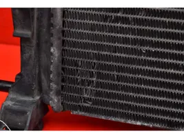 Renault Megane II Coolant radiator 8200117609