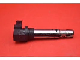 Skoda Fabia Mk1 (6Y) High voltage ignition coil 0040102030