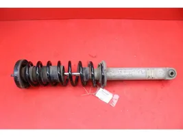 BMW 5 E39 Rear shock absorber/damper 1093646