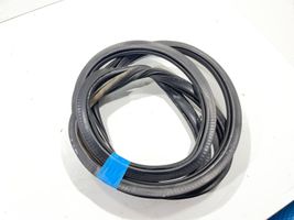 Audi A4 S4 B8 8K Front door rubber seal 