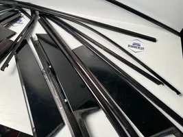 BMW X3 F25 Front door glass trim molding 