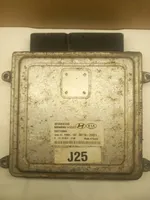 Hyundai Sonata Engine control unit/module 3911025071