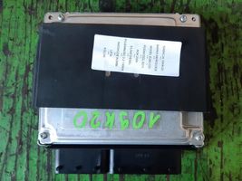 Mercedes-Benz E W211 Galios (ECU) modulis 0281013463