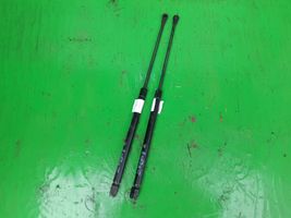 Volkswagen Polo Tailgate hydraulic set 23165