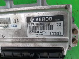 Hyundai Accent Galios (ECU) modulis 3911022545