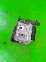 KIA Carens II Komputer / Sterownik ECU silnika 3911327485