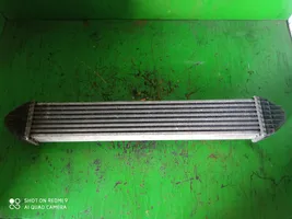 Mercedes-Benz A W169 Radiatore intercooler A1695000000