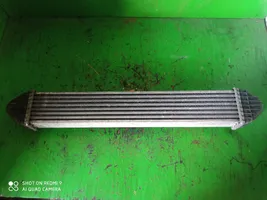 Mercedes-Benz A W169 Radiatore intercooler A1695000000