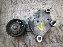 Citroen C-Elysée Tendicinghia generatore/alternatore 5761H6