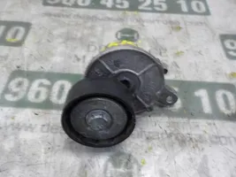 Audi A4 Allroad Napinacz paska alternatora 04L903315K