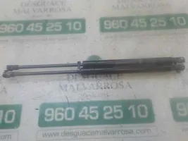 Fiat Panda III Takaluukun tuen kaasujousi 51841634