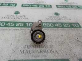 Ford C-MAX II Tendicinghia generatore/alternatore 2430553